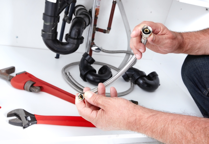Toilet repair being carried out in Thames Ditton